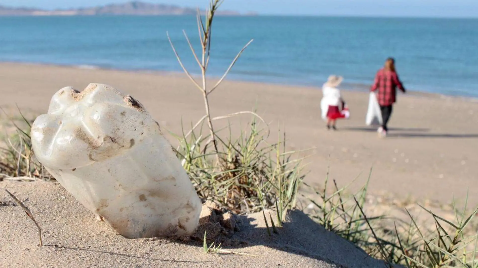 Recolección-plásticos-basura-playa-kino (1)